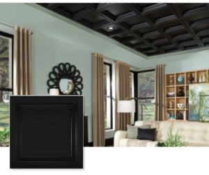 Armstong Ceiling